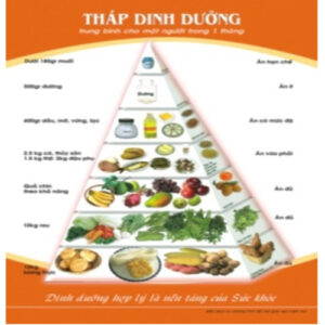 Tháp dinh dưỡng