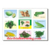 Lô tô các loại rau